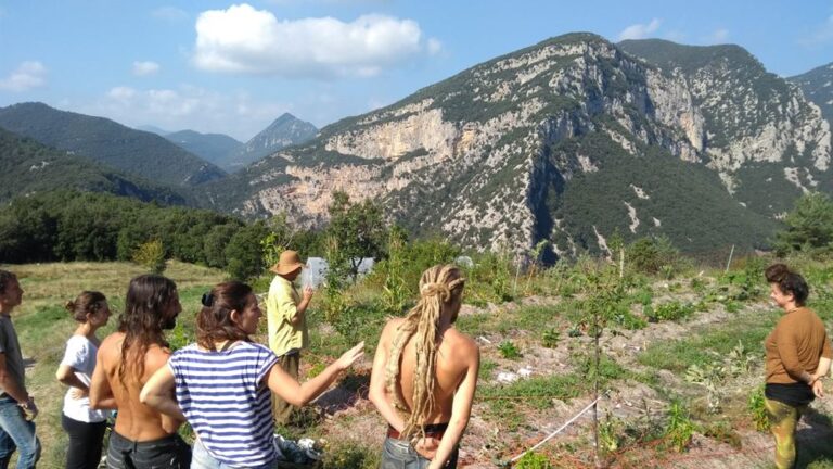 Eco Sanctuary Pyrenees - Can Lliure (147)