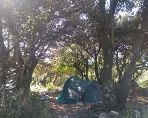 Camping - Eco Sanctuary in Catalunya - Can Lliure (17)